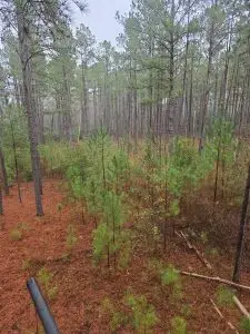 54b9c78b c39b 46c7 8cc2 a4e2c2924ea5