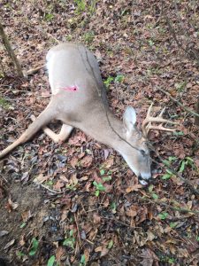 58e8f457 20b8 4db3 9499 a4e8466ba988