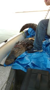 img 20181012 184001747