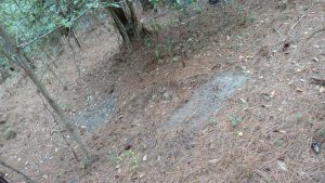 img 20181020 105317396