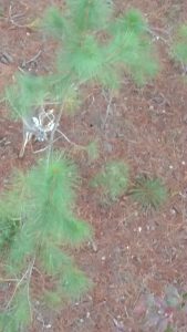 img 20181116 165112206 (1)