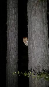 img 20181123 180935970